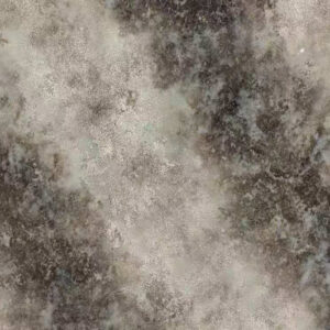 Snow Leopard - MS007SL